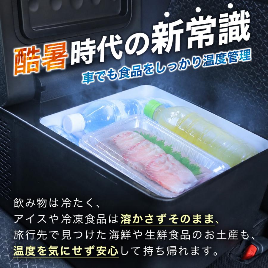 車載冷蔵庫 15L 小型 冷凍庫 DC 12V 24V AC 2電源 ポータブル冷蔵庫