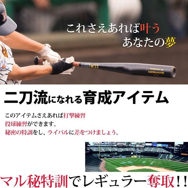 野球ネット 庭 バッティングネット 折りたたみ 自宅 大型 2.4m 子供