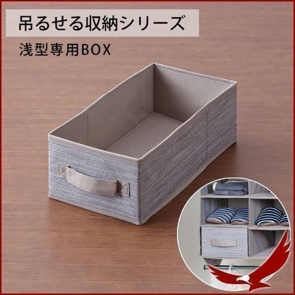 収納box 浅型 クローゼット収納 ハンガーラック 吊るす 衣装ケース 布製 小物 収納 押し入れ収納 クローゼット 目隠し コンパクト 吊るす収納 Earth Wing 通販 Paypayモール