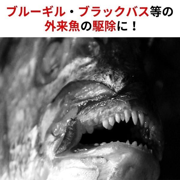 漁網 中型 地獄網 もんどり 魚取り 仕掛け 外来魚駆除 釣り用品 フィッシング ブルーギル ブラックバス 魚 池 沼 川 捕獲 釣り 最大開口約337cm :000000123100-copy:Earth Wing - 通販 - Yahoo!ショッピング 漁網 中型 地獄網 もんどり 魚取り 仕掛け 外来魚駆除 釣り用品 フィッシング ブルーギル ブラックバス 魚 池 沼 川 捕獲 釣り 最大開口約337cm :000000123100-copy:Earth Wing - 通販 - Yahoo!ショッピング