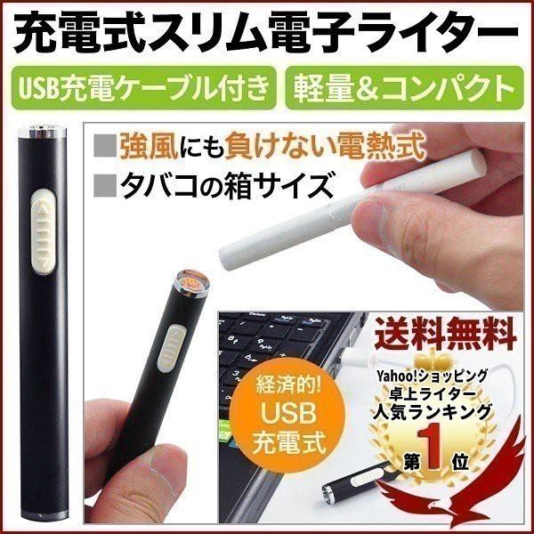 ライター 電子ライター 充電式 Usb スリム コンパクト 風に強い タバコ アウトドア 自動off機能 エコ 経済的 Usb充電 電熱式 プレゼント 1位 Earth Wing 通販 Paypayモール