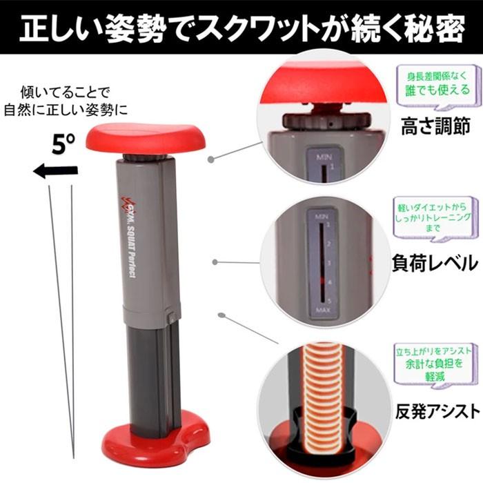 スクワットマシン ジムフォームスクワット Gymform Squat Perfect パーフェクト スクワット マシーン ジムスクワット 屈伸 屈伸運動 5段階 Earth Wing 通販 Paypayモール