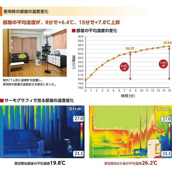 Iwatani（イワタニ） ガスストーブ ストーブ ガスヒーター カセット