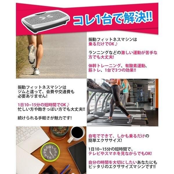 イー・エム・エー 振動マシン シェイカー式 フィットネス 健康器具
