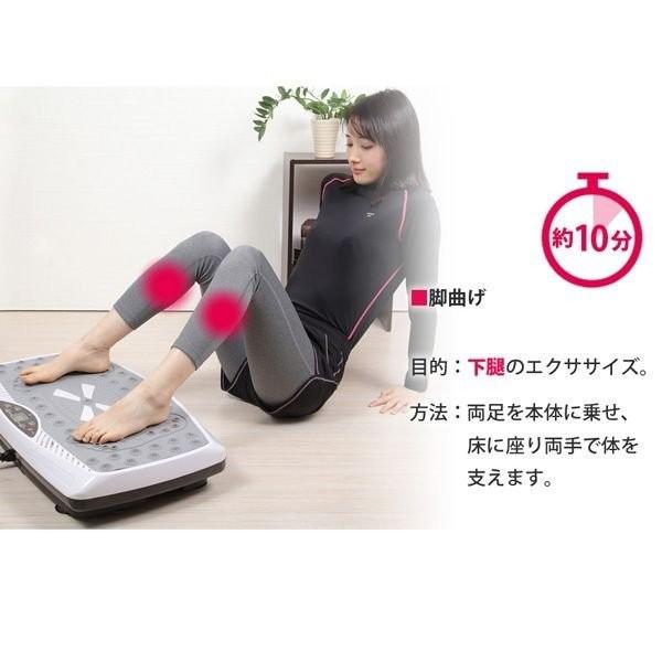 イー・エム・エー 振動マシン シェイカー式 フィットネス 健康器具