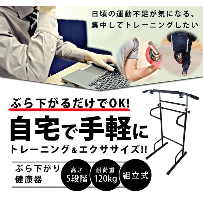 懸垂器具 ぶら下がり健康器 ぶらさがり健康器 懸垂 トレーニング エクササイズ 筋トレ ぶら下がるだけ 健康 室内 部屋 懸垂マシーン 運動不足 解消 Sr He011 Earth Wing 通販 Paypayモール