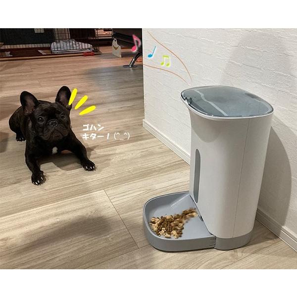 給餌器 猫 犬 自動 遠隔操作 タイマー スマホ アプリ 4.3L 大 給餌器 猫 犬 自動 遠隔操作 タイマー スマホ アプリ 4.3L 大