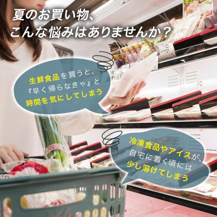 VERSOS（ベルソス） 車載 冷蔵庫 冷凍庫 10L ポータブル冷蔵庫 DC 12V
