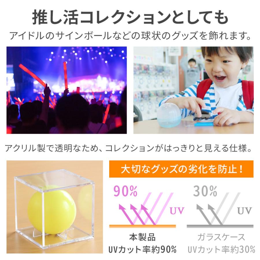 サインボールケース 野球 野球ボールケース コレクションケース