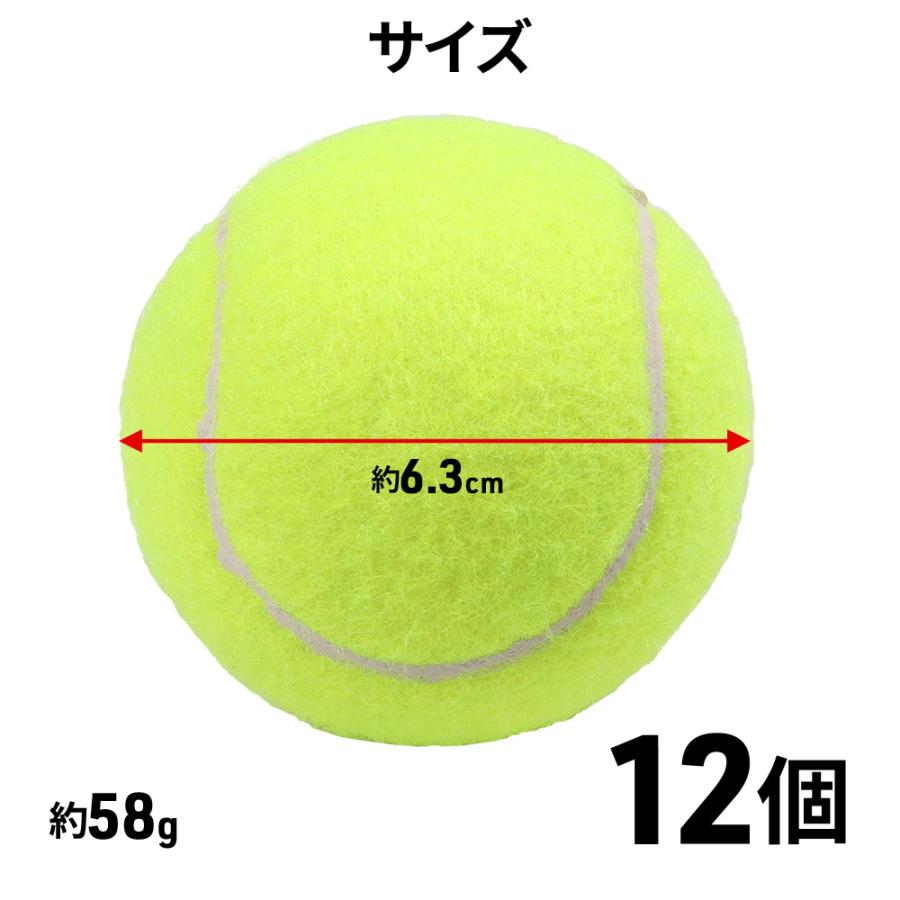 テニスボール 硬式 練習用 12球入 テニス ストローク 練習 基礎 テニスボール 硬式 練習用 12球入 テニス ストローク 練習 基礎