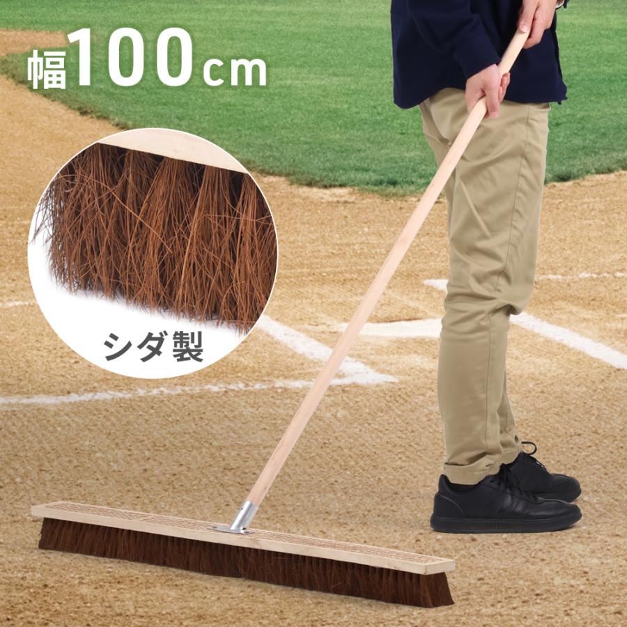 コートブラシ グラウンドブラシ 幅100cm シダ製 グラウンド整備 シダ
