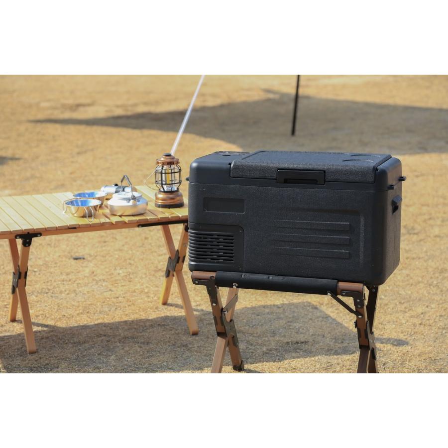 車載冷蔵庫 冷凍庫 22L DC 12V 24V AC 2電源 ポータブル冷蔵庫 車載