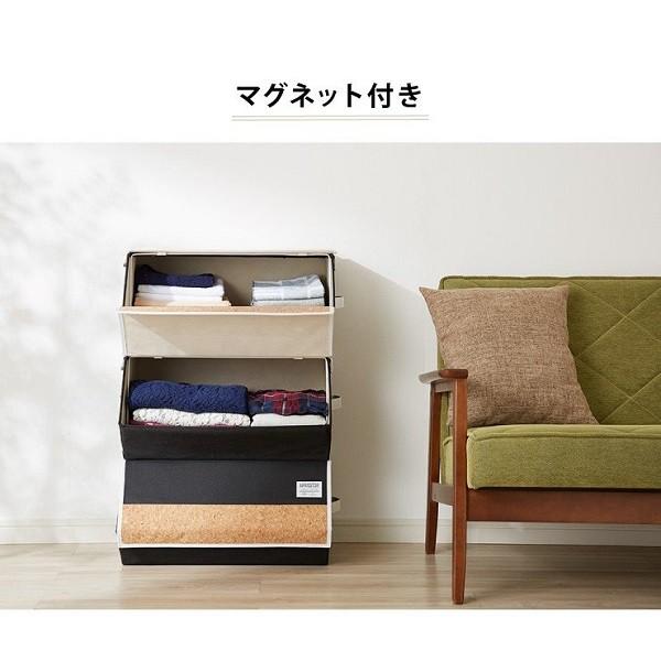 収納ボックス 服収納 ケース ボックス クローゼット フタ付き 窓
