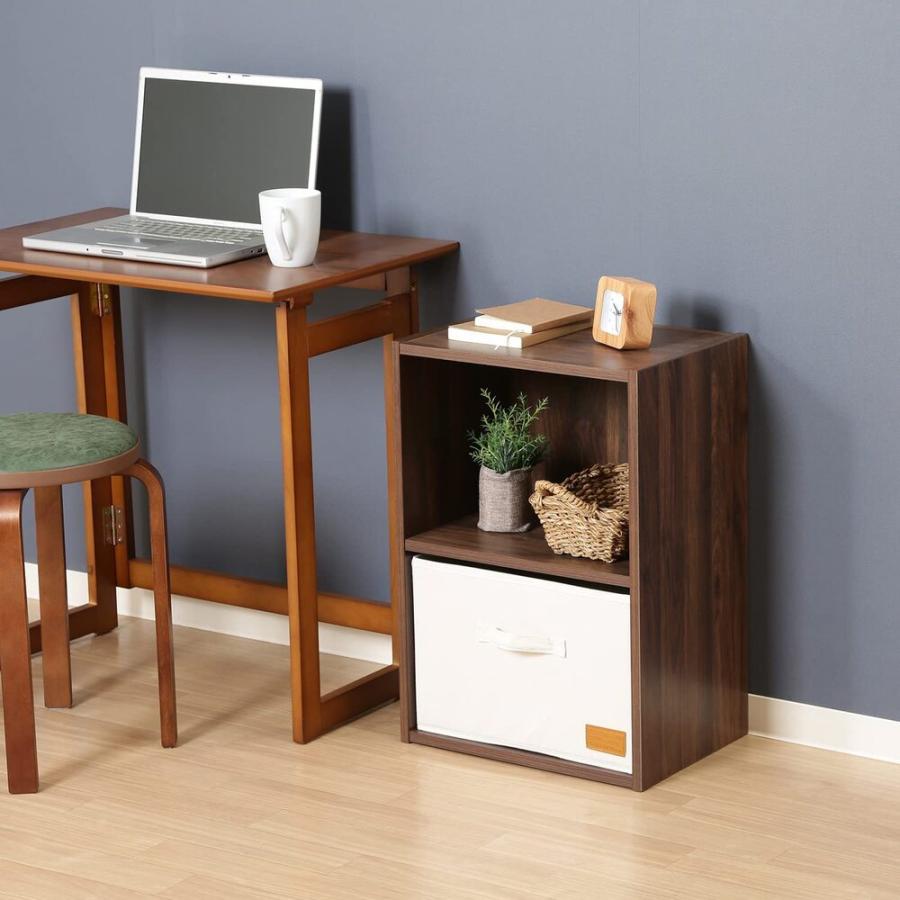 不二貿易（Fuji Boeki） カラーボックス 収納 2段 スリム a4ファイル