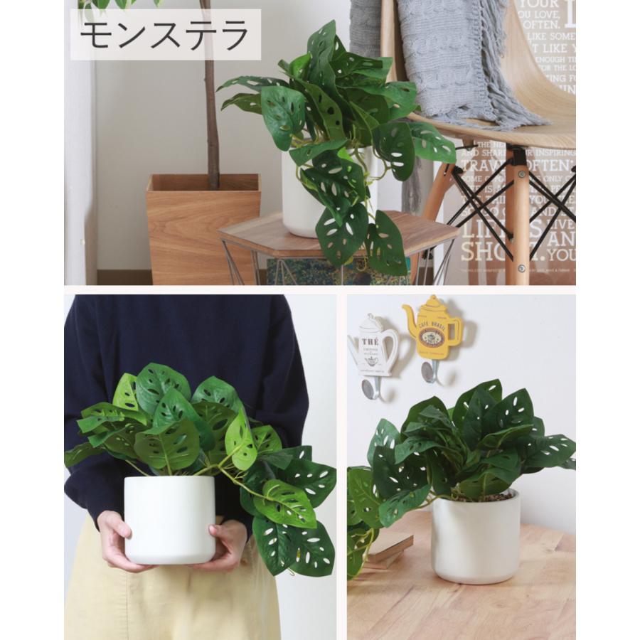 不二貿易（Fuji Boeki） フェイクグリーン リアル ミニ 卓上 おしゃれ