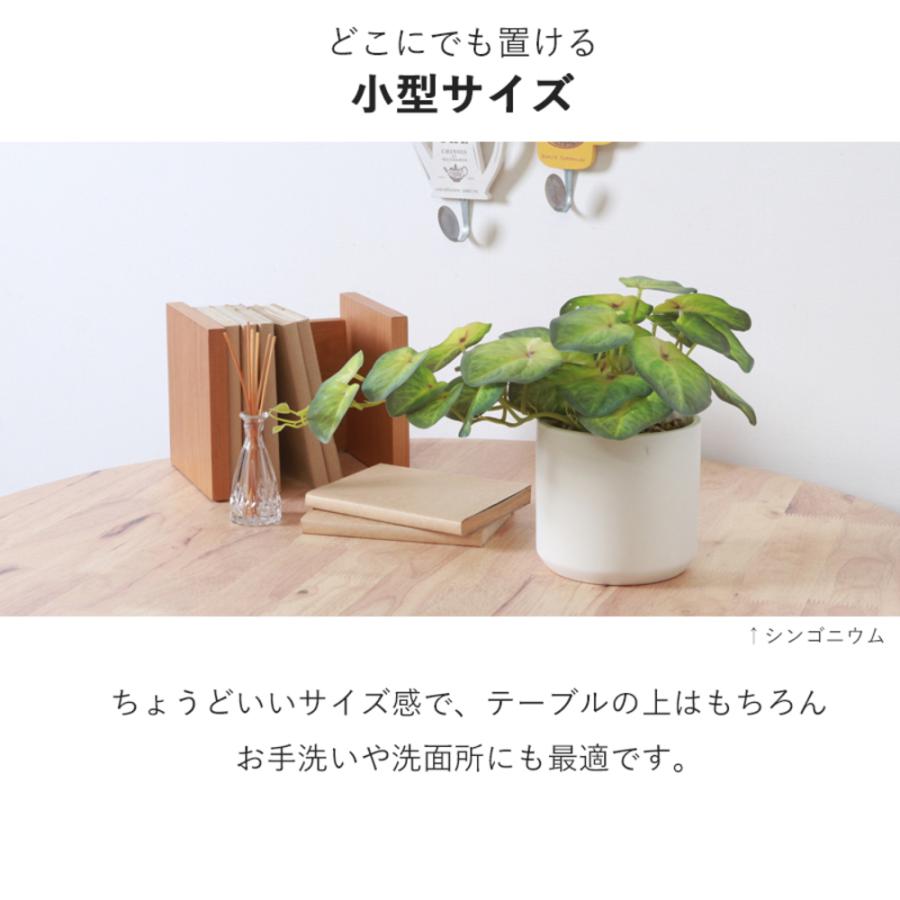 不二貿易（Fuji Boeki） フェイクグリーン リアル ミニ 卓上 おしゃれ
