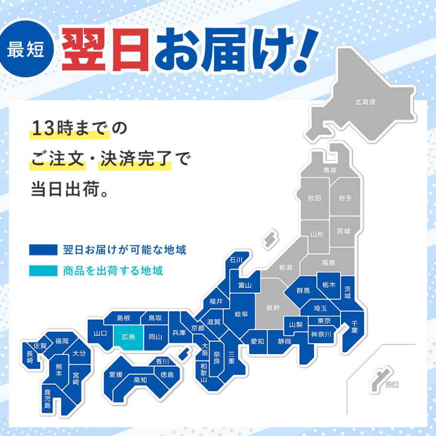 即納 プール 家庭用 大型 折りたたみ ビニールプール 折り畳み式 空気入れ不要 組立不要 簡単 水遊び キッズプール 支え板付き ファミリープール 1位 | ブランド登録なし | 23