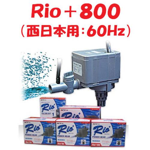 カミハタ ｒｉｏ ８００ 西日本用 ６０ｈｚ リオプラス 水中ポンプ 水槽用 ディスカウントアクア 通販 Yahoo ショッピング