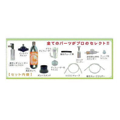 リキジャパン NEWオアシス CO2フルセット 水草育成