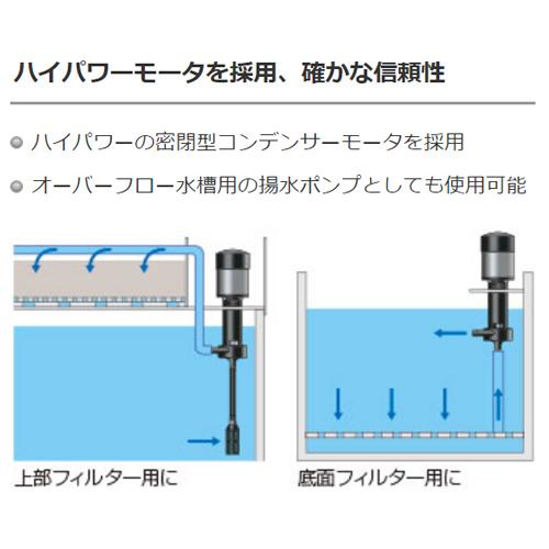 レイシー たて型 ポンプ P-315V : ディスカウントアクア - 通販 