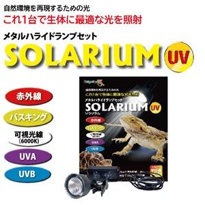 ゼンスイ ソラリウム50Wセット メタルハライドランプ 赤外線 バス