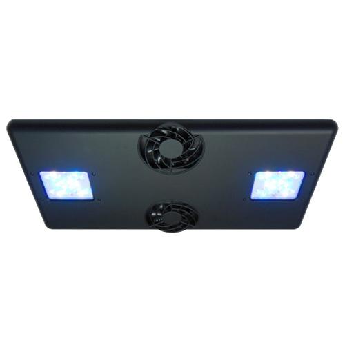 volxjapan（ボルクスジャパン） グラッシーコア X200 リーフ (SPS