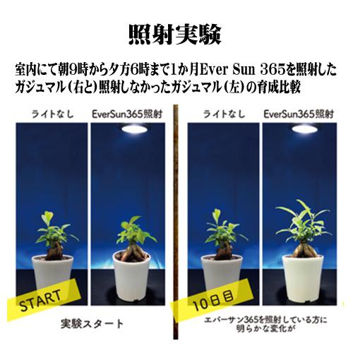 エバーサン　365 PLAREA 植物育成用LEDライト E26 26W ゼンスイ エバーサン サンロクゴー PLAAREA Ever Sun 365
