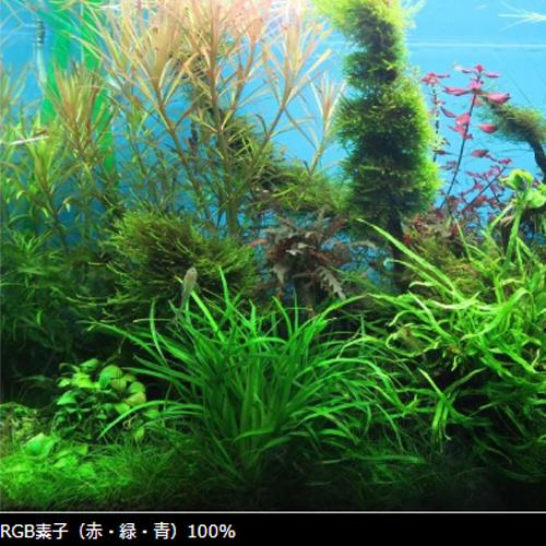 Chihiros LED C2 RGB 熱帯魚 水草 アクアリウム Chihiros LED C2 RGB 熱帯魚 水草 アクアリウム