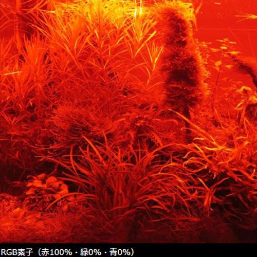 Chihiros LED WRGB2 45 ブラック SERIES