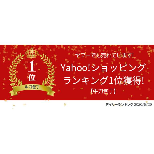 藤次郎 包丁 牛刀 210mm ステンレス V金10号 口金付 CLASSIC 藤次郎 包丁 牛刀 210mm ステンレス V金10号 口金付 CLASSIC