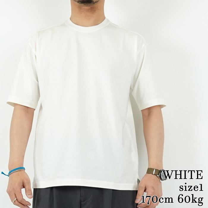 ベーシックコットンクルーネックTシャツ　カーリー　BASIC COTTON CREW-NECK TEE/　CURLY | Curly | 10