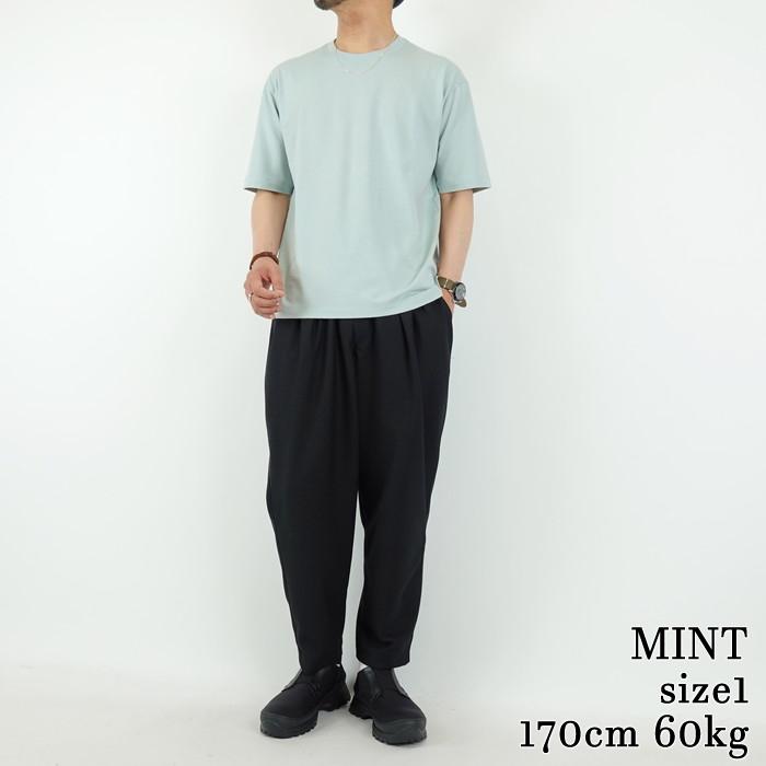 ベーシックコットンクルーネックTシャツ　カーリー　BASIC COTTON CREW-NECK TEE/　CURLY | Curly | 12