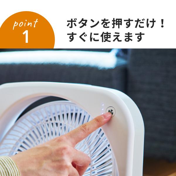 APIX INTERNATIONAL（アピックス インターナショナル） 30日延長保証