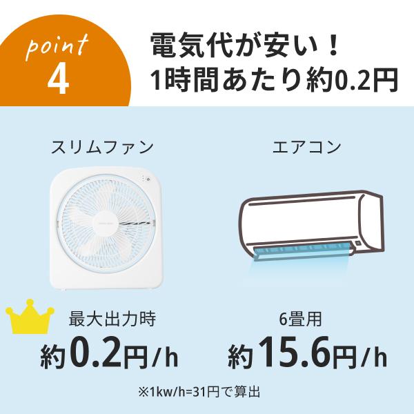 APIX INTERNATIONAL（アピックス インターナショナル） 30日延長保証