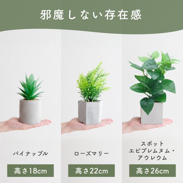 観葉植物 フェイクグリーン 3点セット ミニサイズ コンパクト リアル