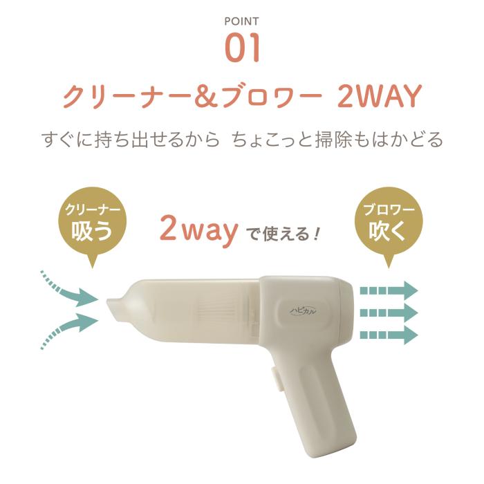 APIX INTERNATIONAL（アピックス インターナショナル） 【延長保証