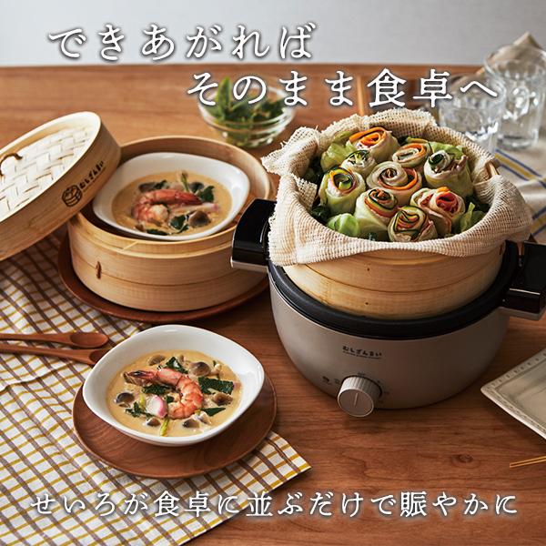 APIX INTERNATIONAL アピックス むしざんまい 電気せいろ レシピ APIX INTERNATIONAL アピックス むしざんまい 電気せいろ レシピ