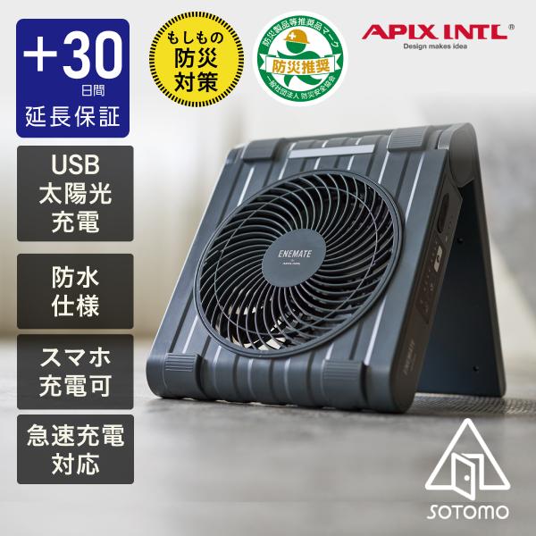 APIX INTERNATIONAL（アピックス インターナショナル） 30日延長保証 