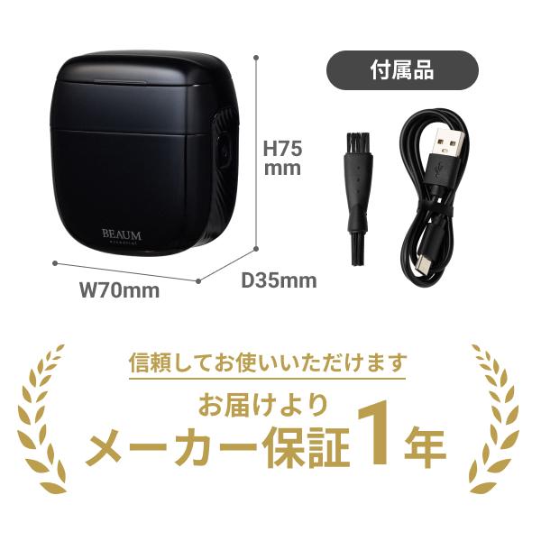 APIX INTERNATIONAL（アピックス インターナショナル） 小型 電動