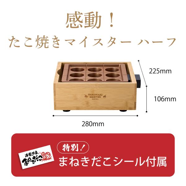 APIX INTERNATIONAL（アピックス インターナショナル） アピックス