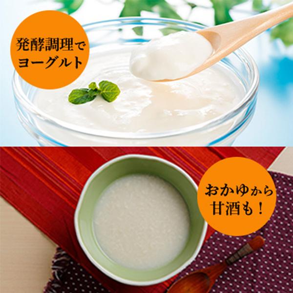 エムケー精工 電気圧力鍋 3l 圧力鍋 電気 1台6役 お手入れ簡単 炊飯器