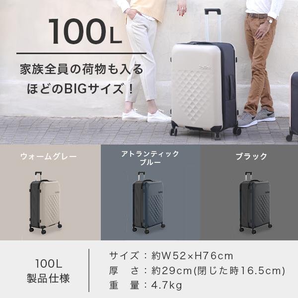 アントレックス Rollink スーツケース 折り畳み 機内持ち込み 100L 