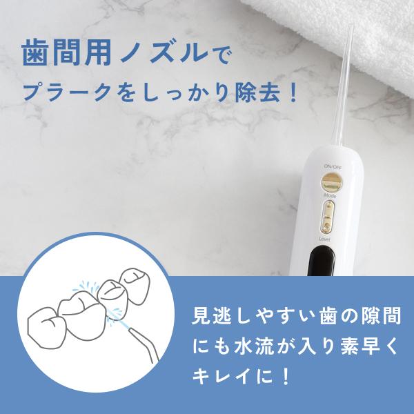 ドリテック 口腔洗浄器 ジェットクリーン グリフィ 舌磨き 歯石取り