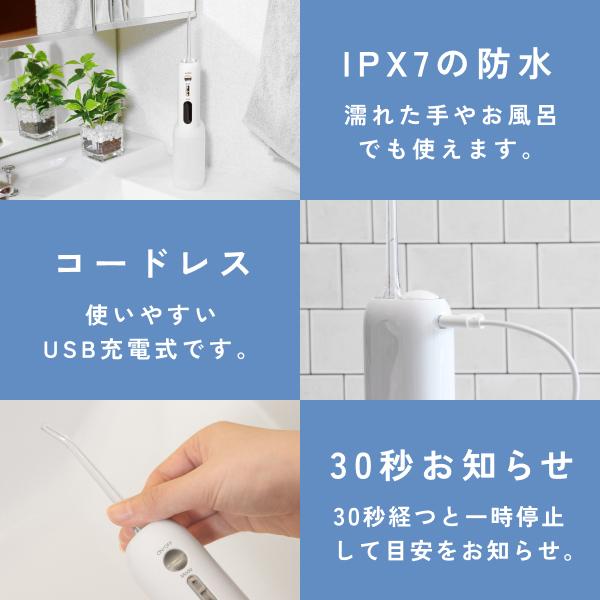 ドリテック 口腔洗浄器 ジェットクリーン グリフィ 舌磨き 歯石取り