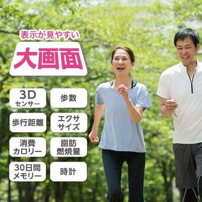 歩数計 ウォーキング ジョギング 運動 消費カロリー 脂肪燃焼量 エクササイズ Dish 通販 Paypayモール