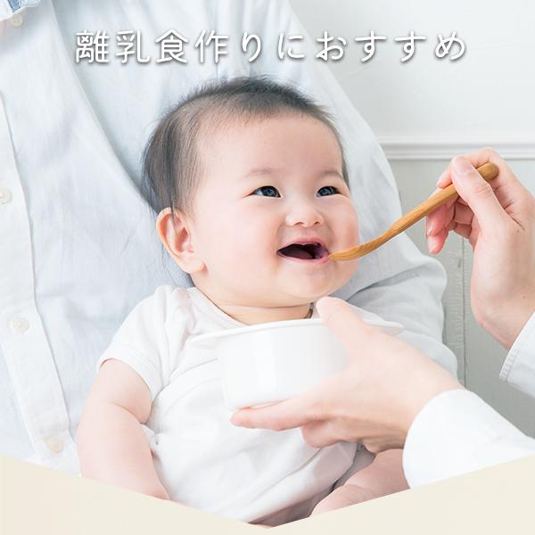 ハンドブレンダー 離乳食 ドリテック 公式 HM-805 フードプロセッサー スムージー ミキサー ハンドミキサー 出産祝い 誕生祝い｜dish｜02