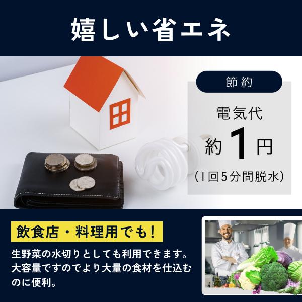 プラス30日延長保証】 高速脱水機 小型脱水機 大容量 衣類 乾燥 速い