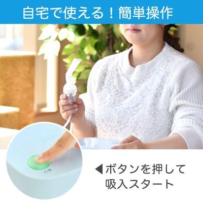 ネブライザ 家庭用 吸入器 コンプレッサー式 ネブライザー 薬液 吸入マスク 子供用 マウスピース ドリテック Dish 通販 Paypayモール
