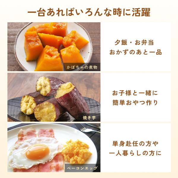 ヒロ・コーポレーション 電子レンジ調理器 深型 焼き魚 焼き目がつけ