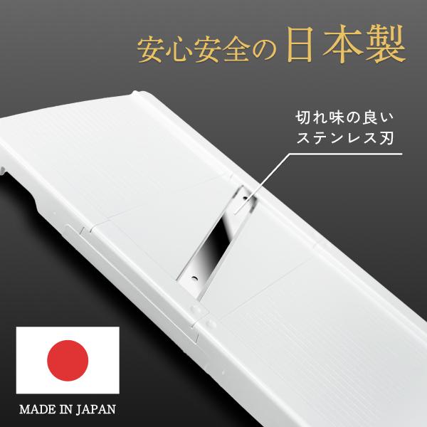 ドリテック 公式 スライサー 3種プレート スライス 太千切り おろし 食